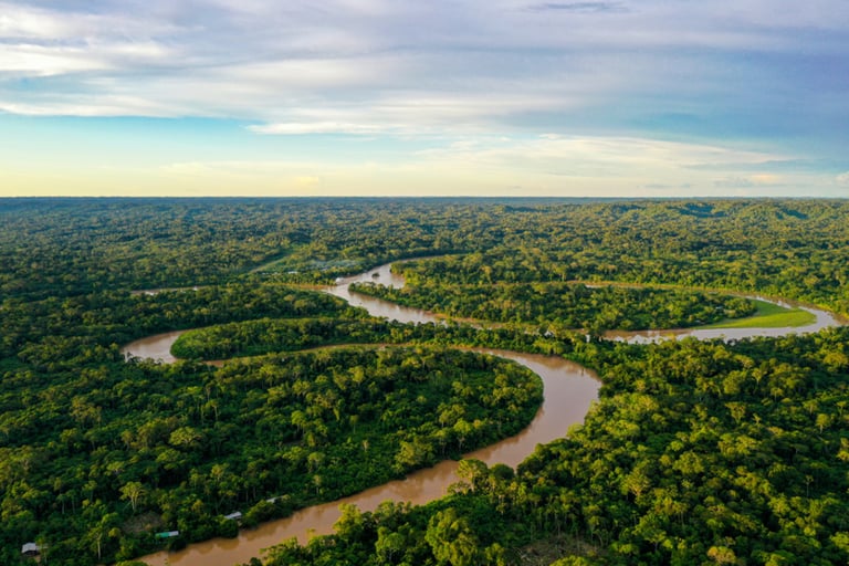 World Bank launches $200 million bond to fund Amazon reforestation efforts in Brazil