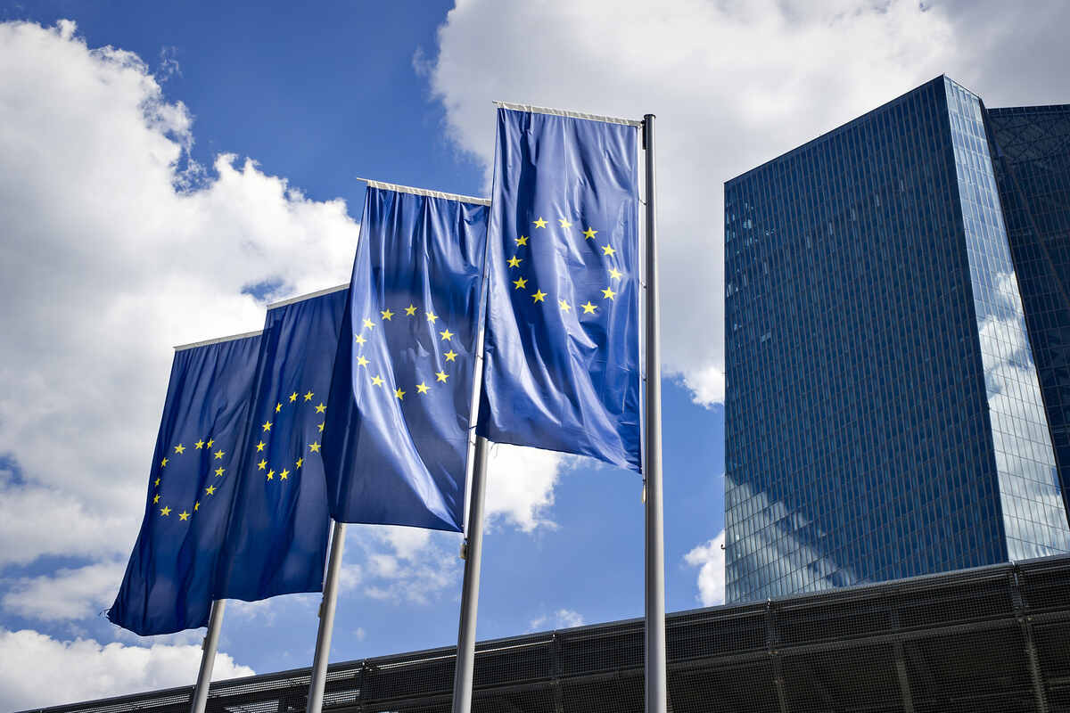 EU employment grows 0.2 percent in Q4 2024 as economy steadily expands