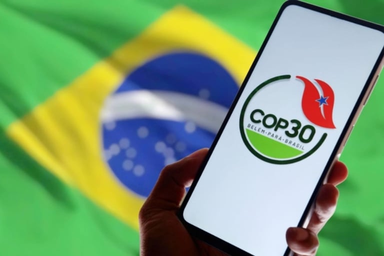 Brazil establishes COP30 adaptation council to tackle climate change challenges